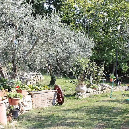Agriturismo Nonna Sestina 克利通诺河畔坎佩洛