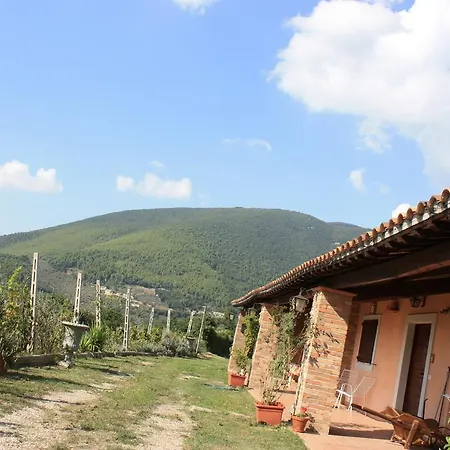 乡村民宿 Agriturismo Nonna Sestina *